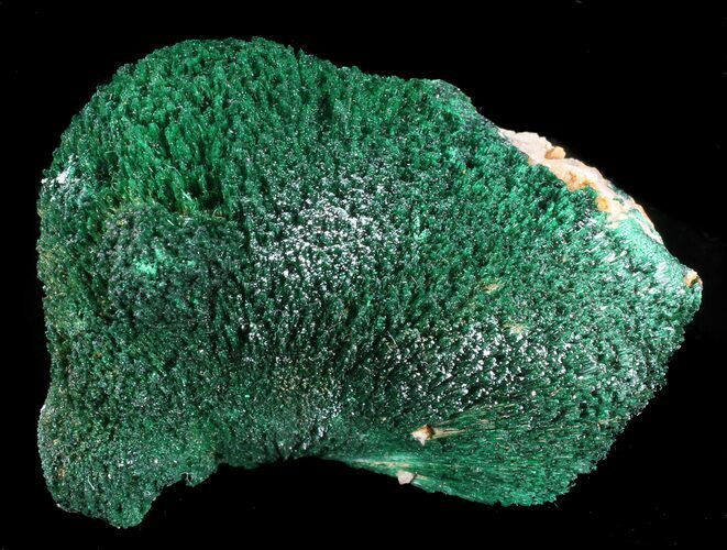 Silky, Fibrous Malachite Crystals - Congo #34941